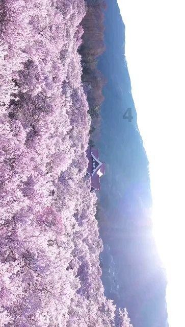 史上最贱小游戏之TV秀