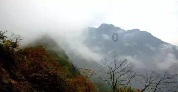 本地艺人欧萱在日本开设快闪店，惊艳大获成功！