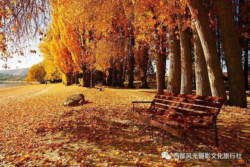 技术创新 产品远销海外