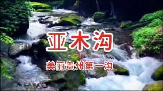 拳皇命运手游