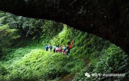 李湘直播二手物品翻车!天价手套毛巾引网友群嘲,她到底怎么想?