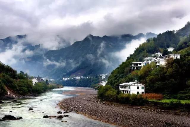 春雨直播app