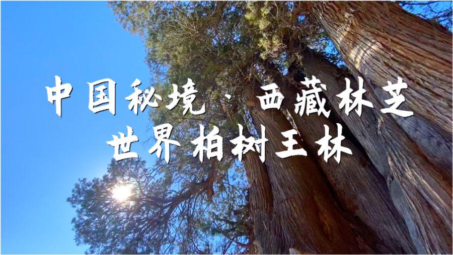 更年期出汗吃什么药比较好？
