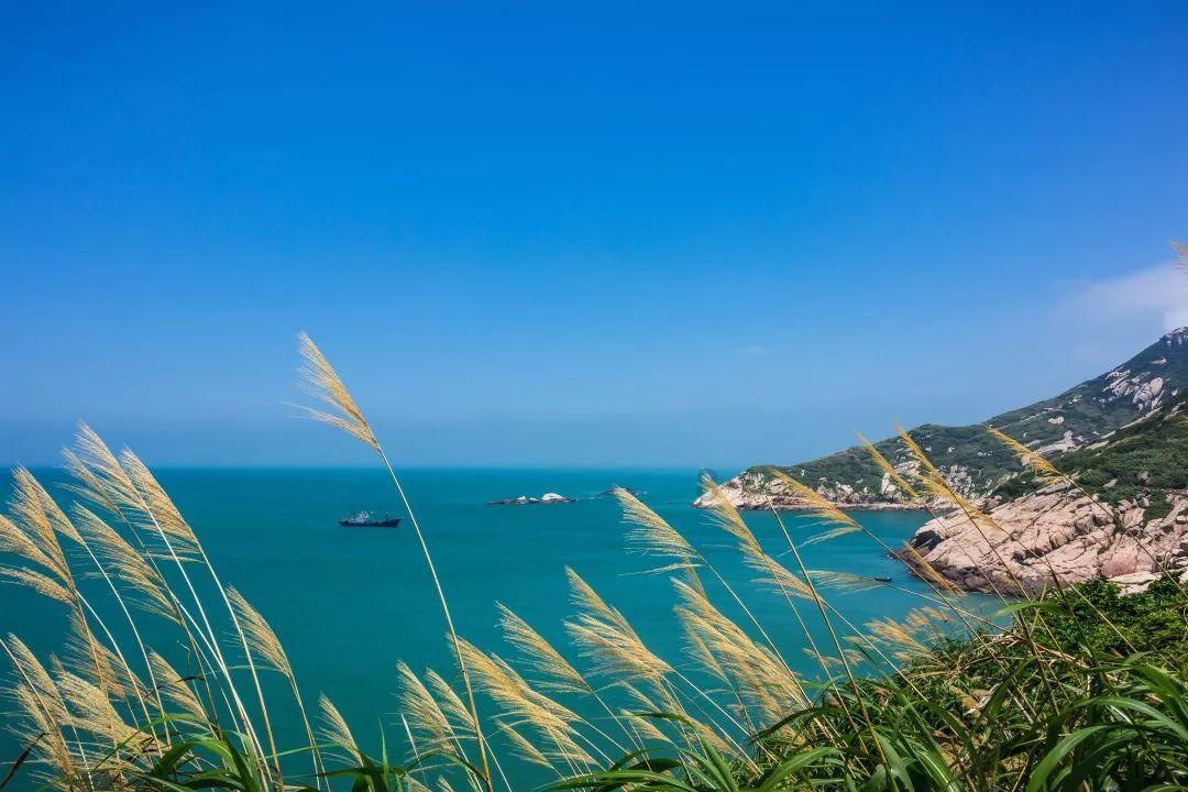虫虫助手下载