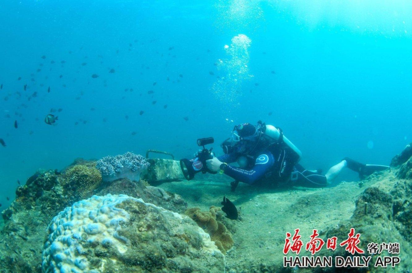你能逃离此地吗