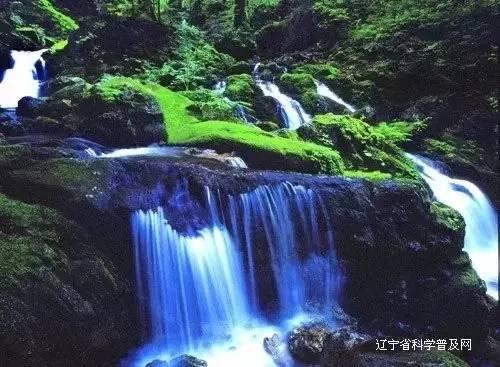 火龙冒险