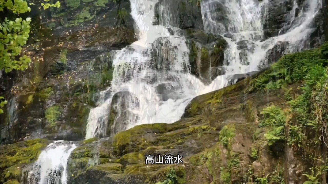 高速下卤味店,一天只卖3小时,开车的人闻到香味就去了