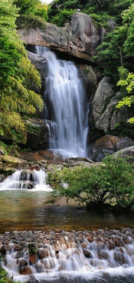 牛油果面包