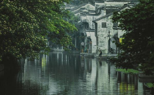 白宫首席经济顾问：美国经济前景乐观 强劲的就业形成推力