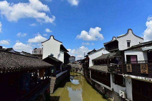 临平“首马”一起见证