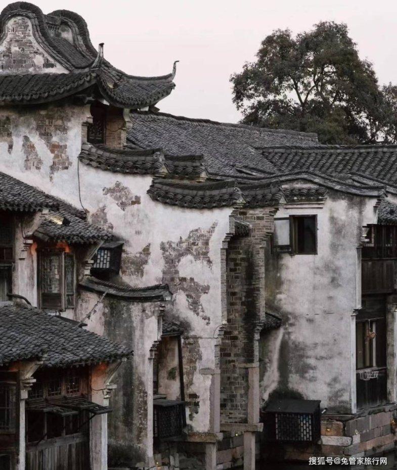 精灵格蕾